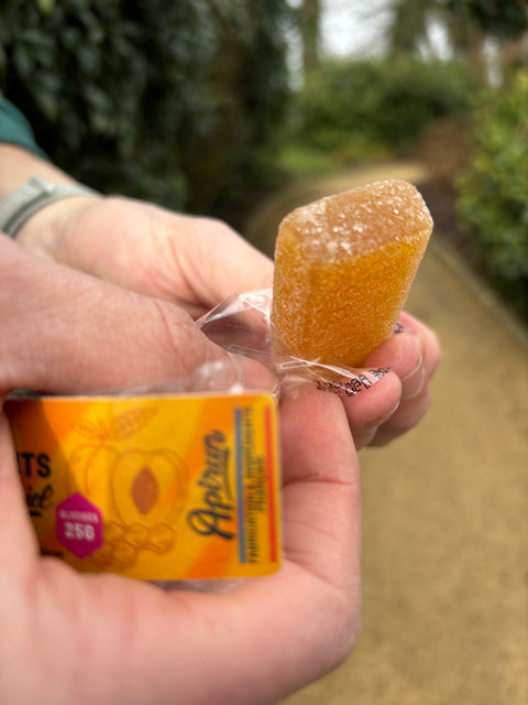 Pâte de fruits Abricot