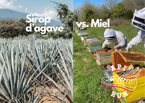 miel ou sirop d'agave sport