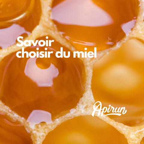 Notre guide pour choisir votre miel