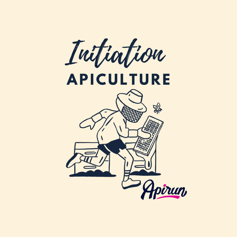 Initiation apiculture