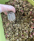 infusion recup plantes françaises bio